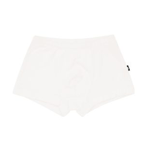 Briefs in Cloud