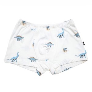 Briefs in Jurassic