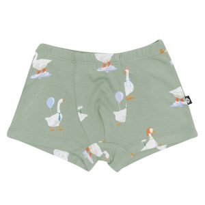 Briefs in Silly Goose