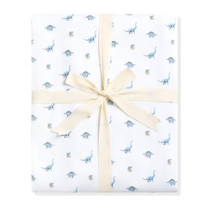 Youth Blanket in Jurassic 1.0