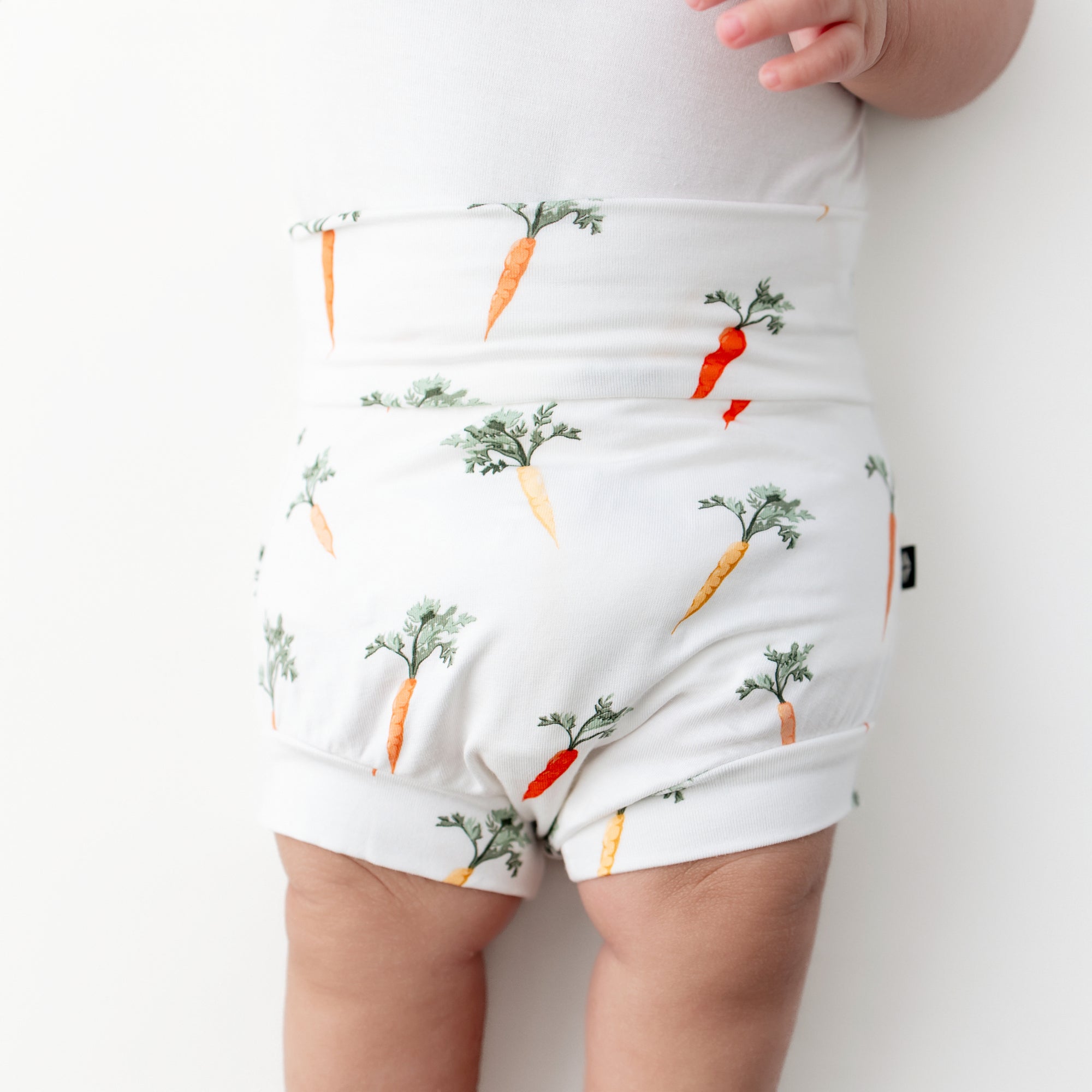 Bummies in Carrot