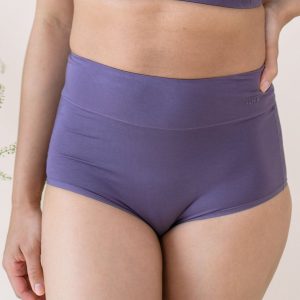 Women's High-Waisted Brief in Currant