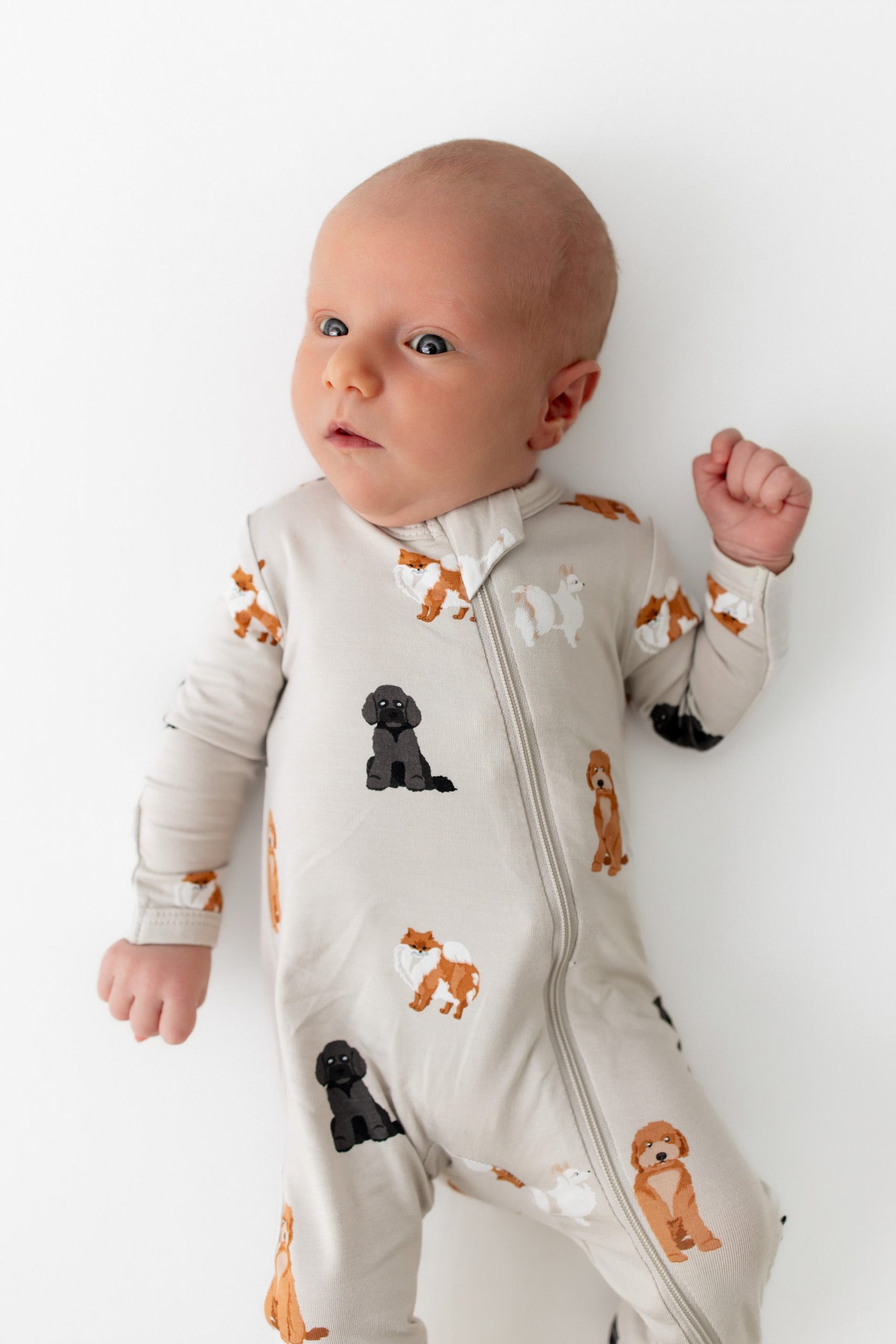 Zippered Romper in Fluffy Dog - Image 2