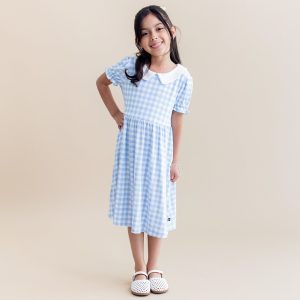Peter Pan Collar Dress in Gingham Breeze