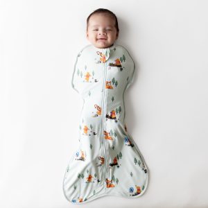 Swaddle Bag in Winnie the Pooh Hundred Acre Wood 0.5