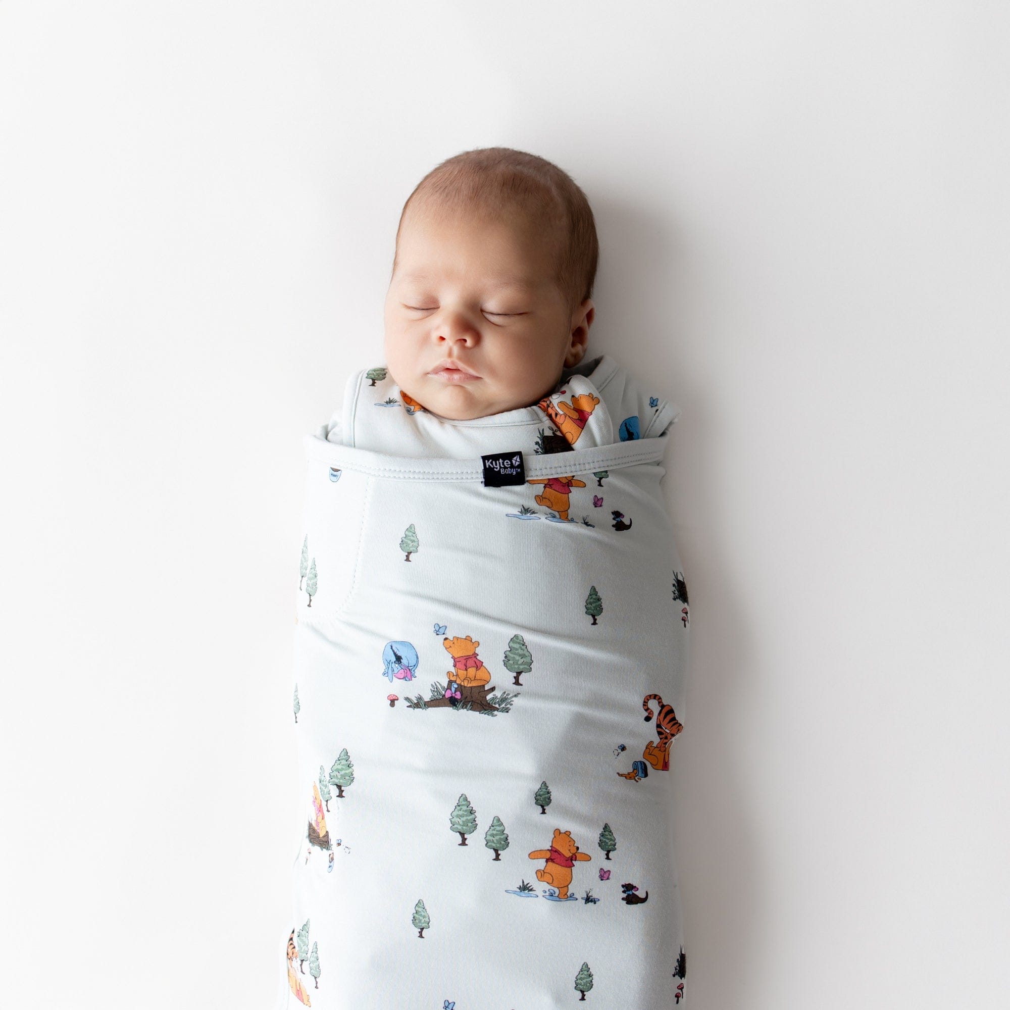 Sleep Bag Swaddler in Winnie the Pooh Hundred Acre Wood 1.0 - Image 3