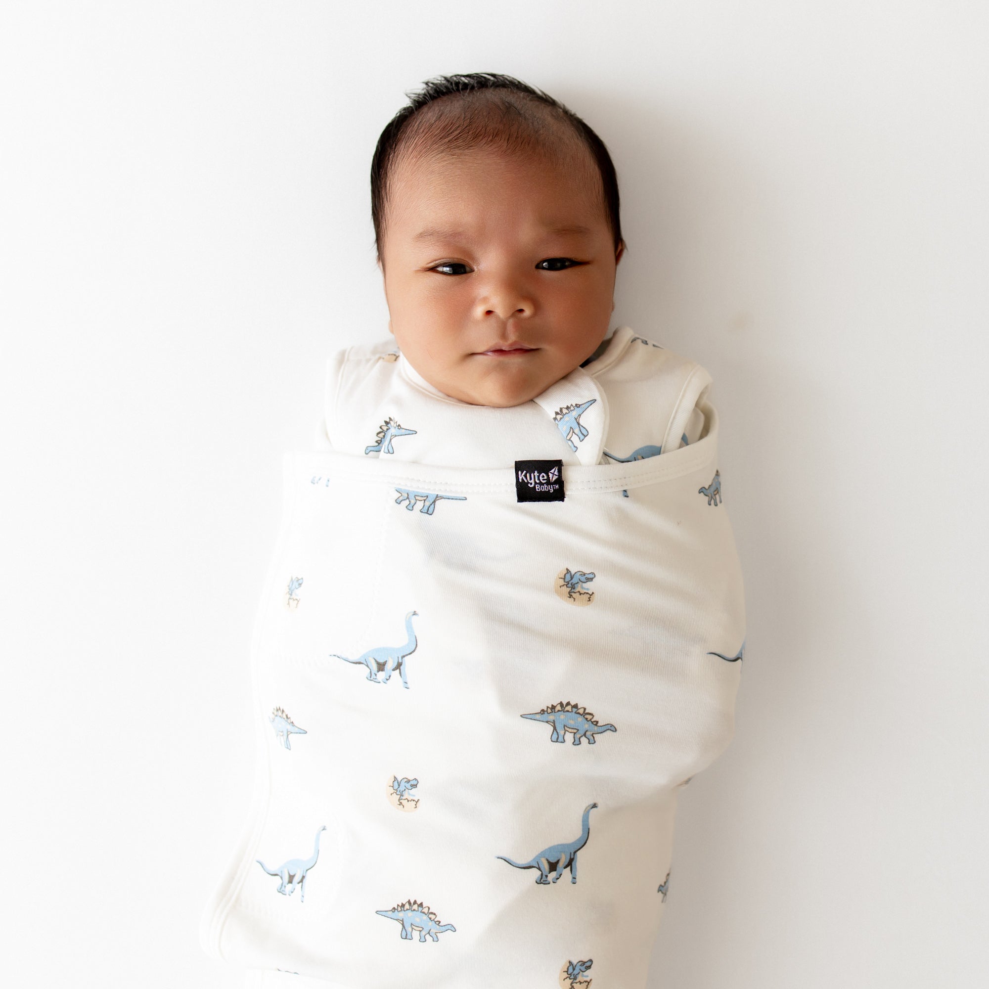 Sleep Bag Swaddler in Jurassic 1.0 - Image 3