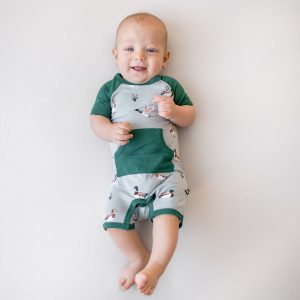 Shortall in Mallard Duck