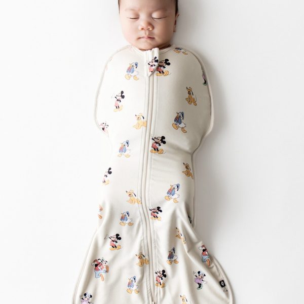 Swaddle Bag in Mickey Mouse and Friends 0.5