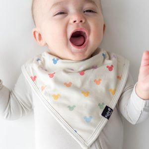 Bib in Pastel Mickey Mouse