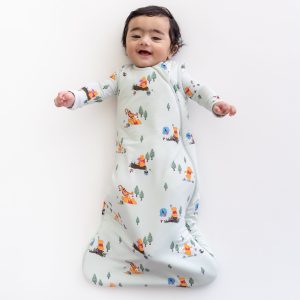 Sleep Bag in Winnie the Pooh Hundred Acre Wood 1.0