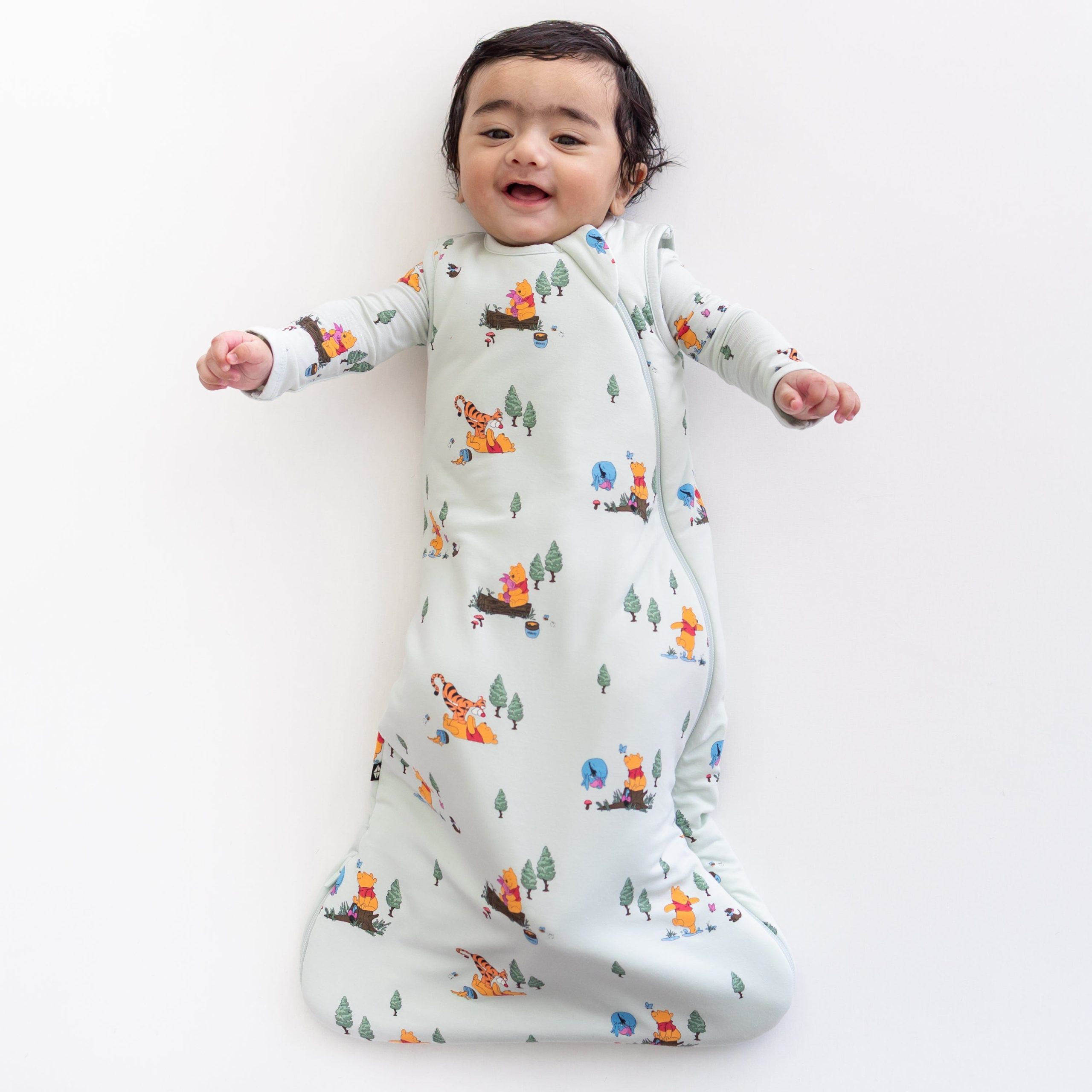 Sleep Bag in Winnie the Pooh Hundred Acre Wood 1.0