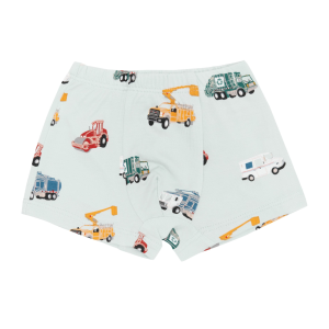 Briefs in City Vehicles