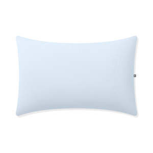 Toddler Pillowcase in Breeze