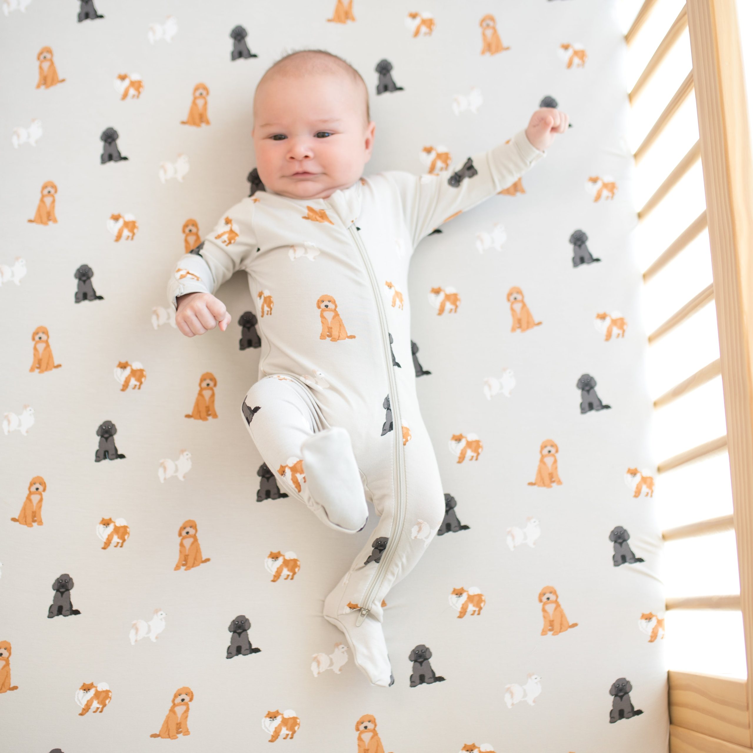 Crib Sheet in Fluffy Dog - Image 2