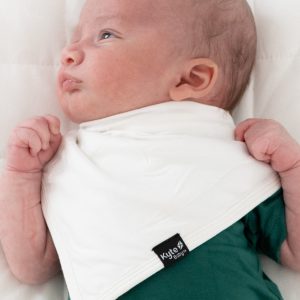 Bib in Cloud