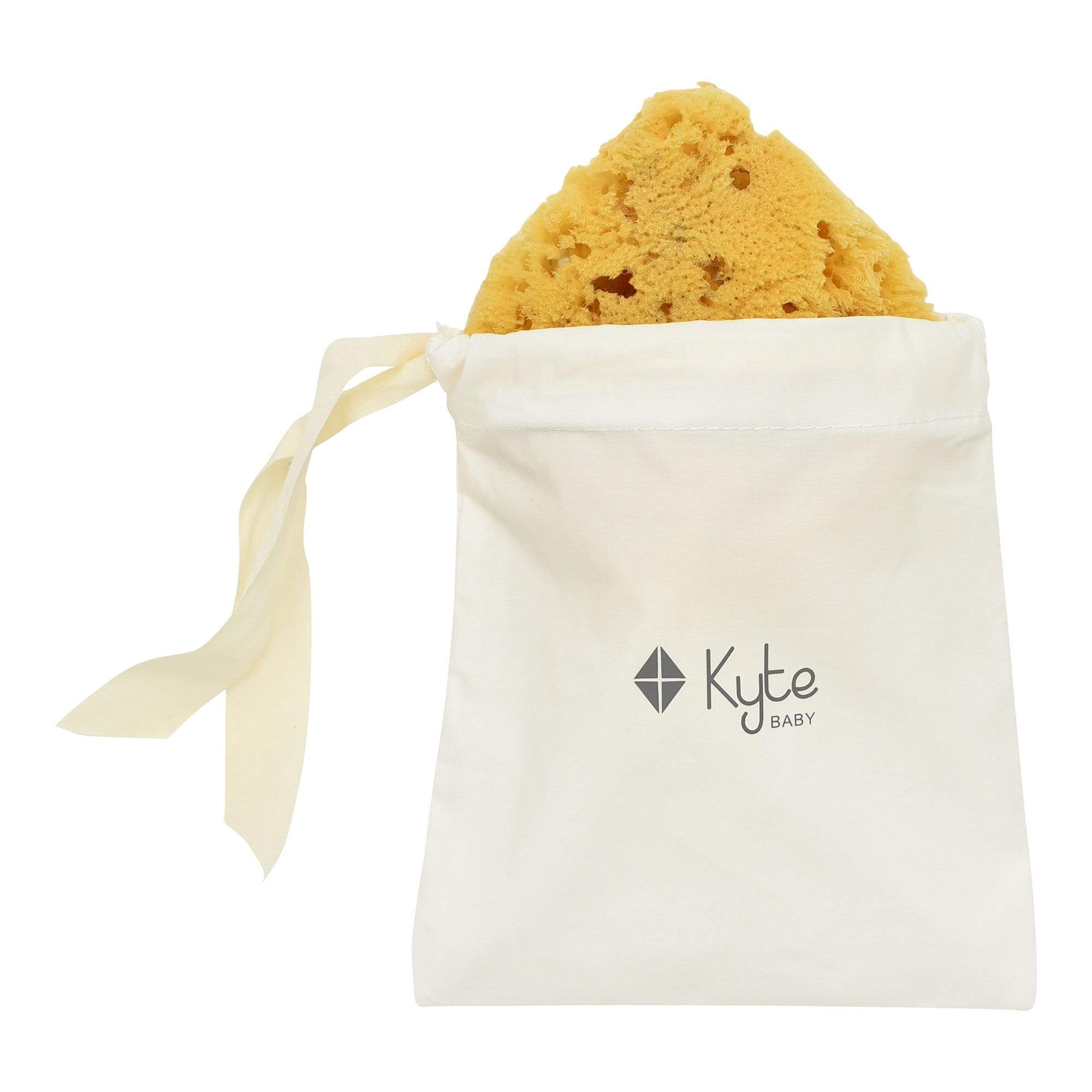 Sea Sponge - Image 5