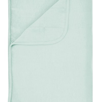 Toddler Blanket in Sage 1.0