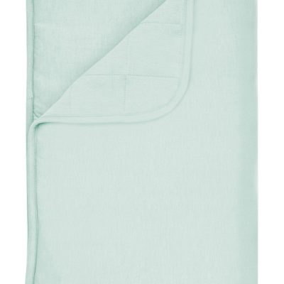 Toddler Blanket in Sage 2.5